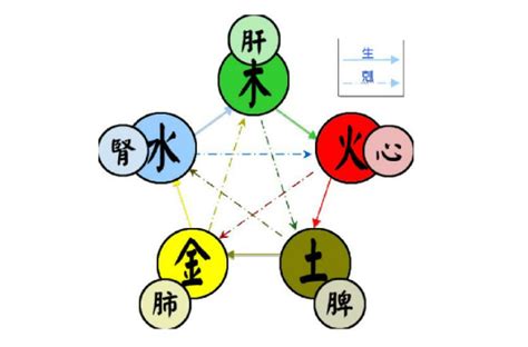 五行由來|五行（对万事万物的取象比类）